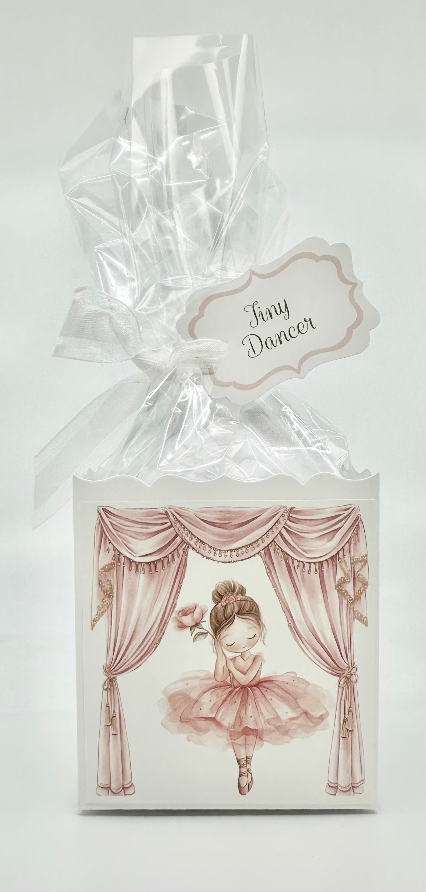 Little Pink Ballerinas party favors Gift Box & Bag