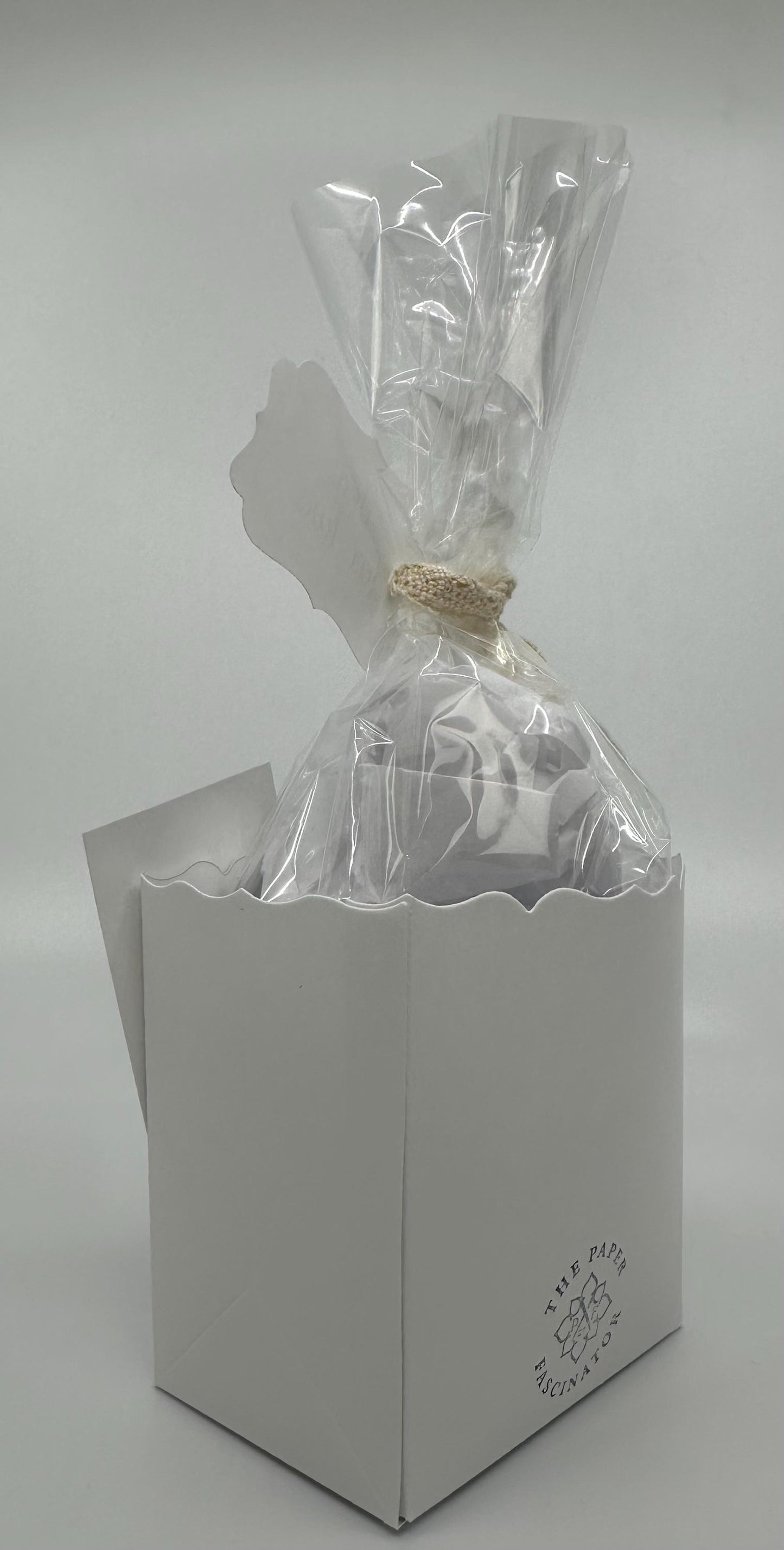 Set of 5 Pastel Happy Spring Daisy Tea Party Favors with matching teacup and mat