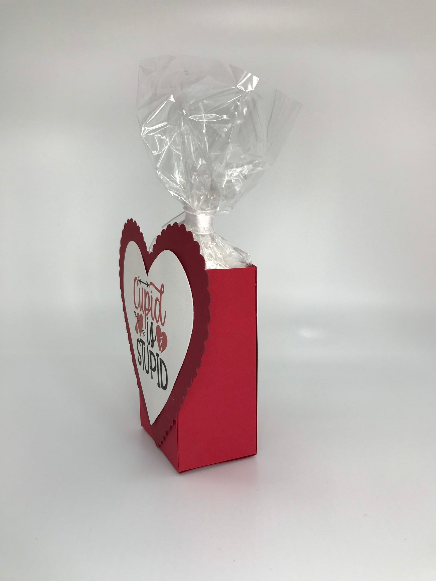 Cupid is Stupid Valentine’s Day Party Favor