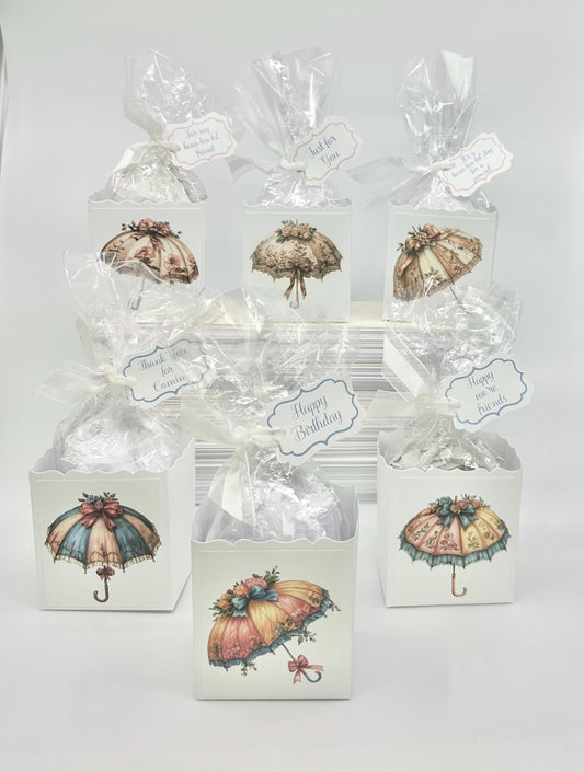 Parasol Umbrella Party Favors Gift Box & Bag
