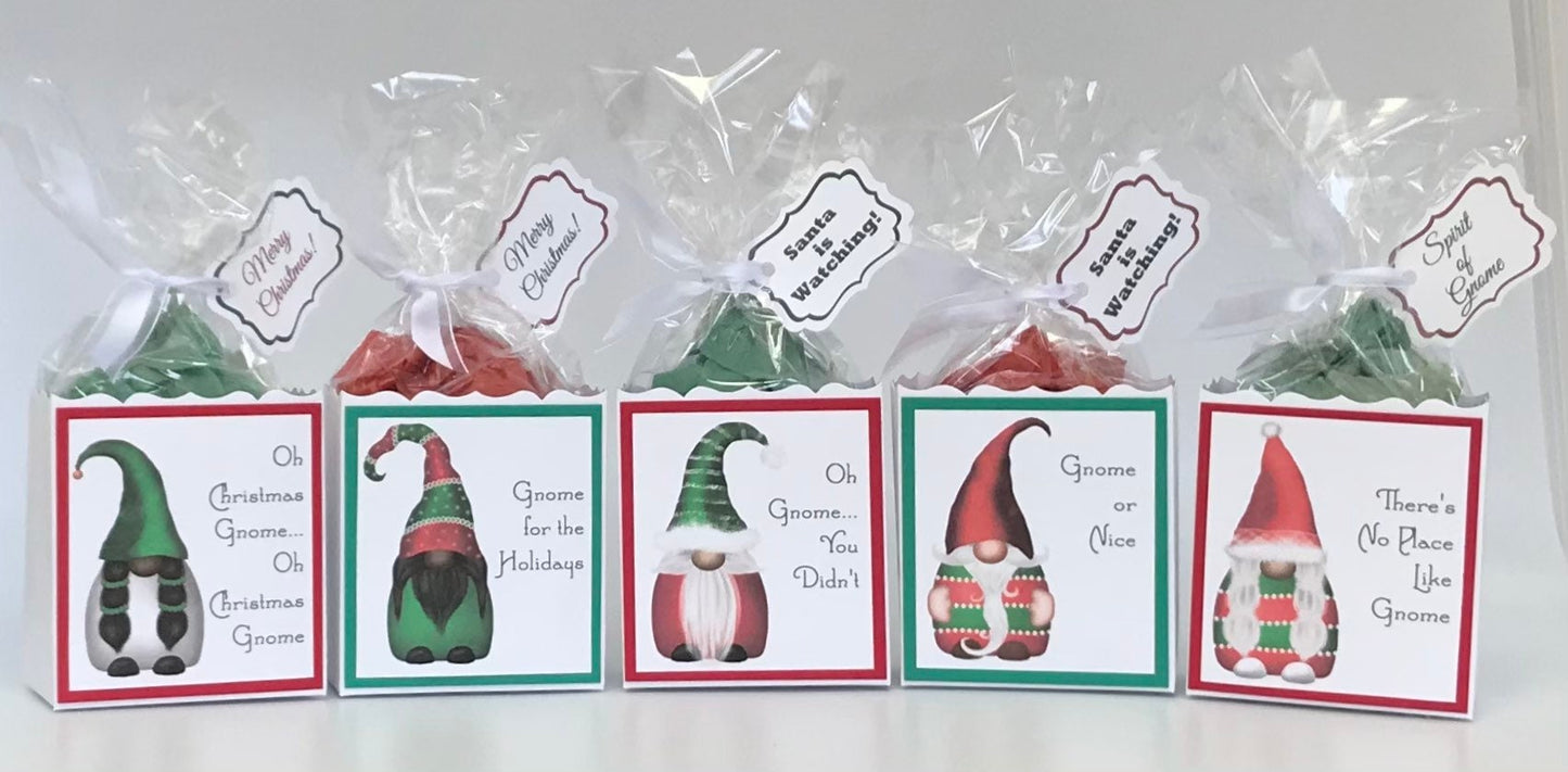 There’s No Place Like Gnome Christmas Party Favor