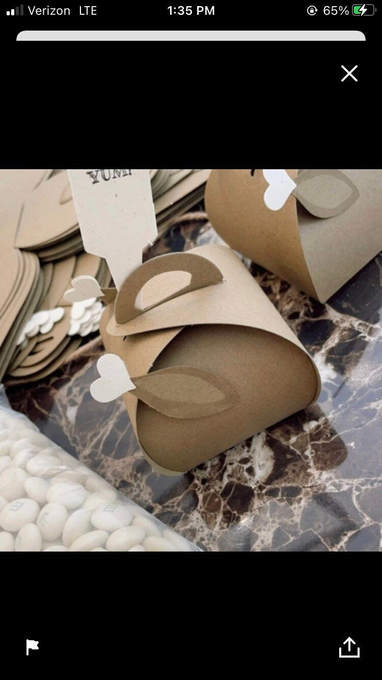 Thanksgiving Table Setting Decor Turkey Figurine Party Favors 10 Large Gift Boxes