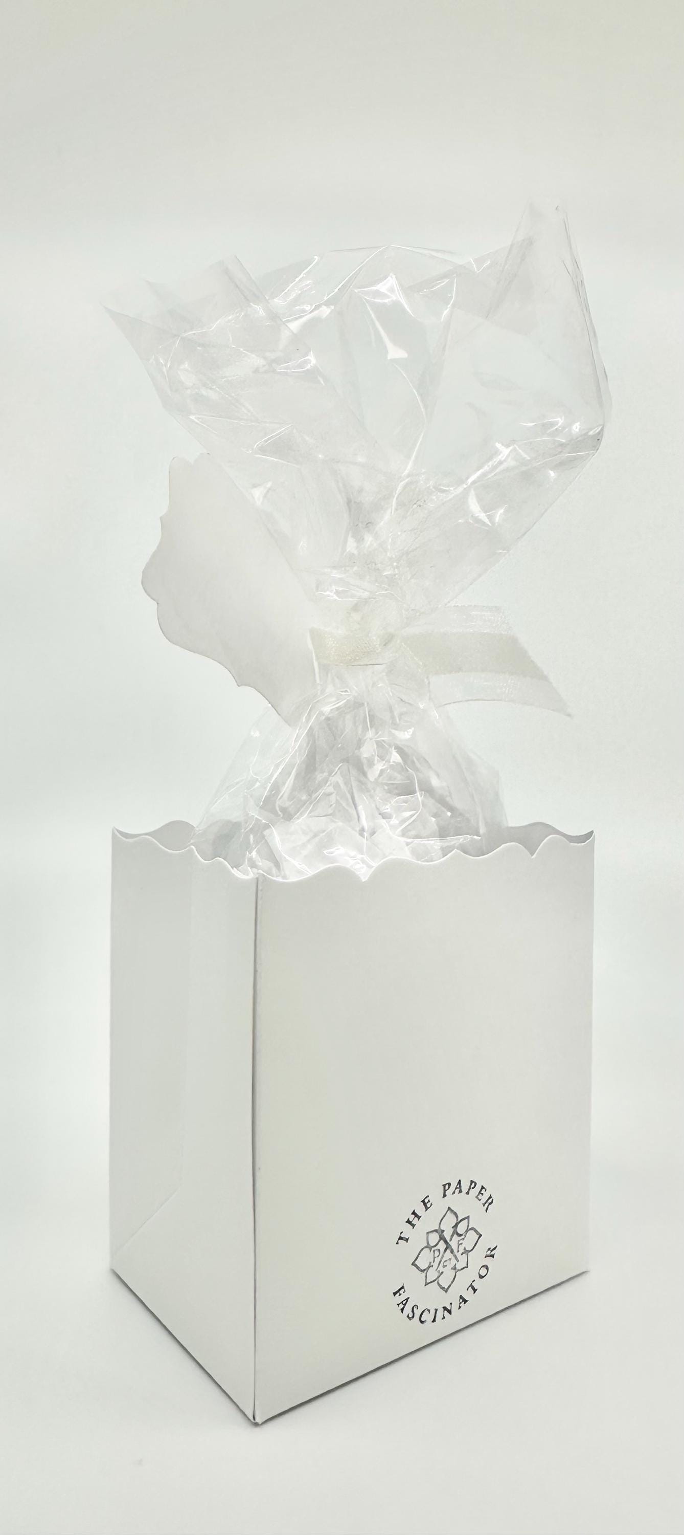3-D Toile Easter Egg Gift Basket Box and Bag Party Favors