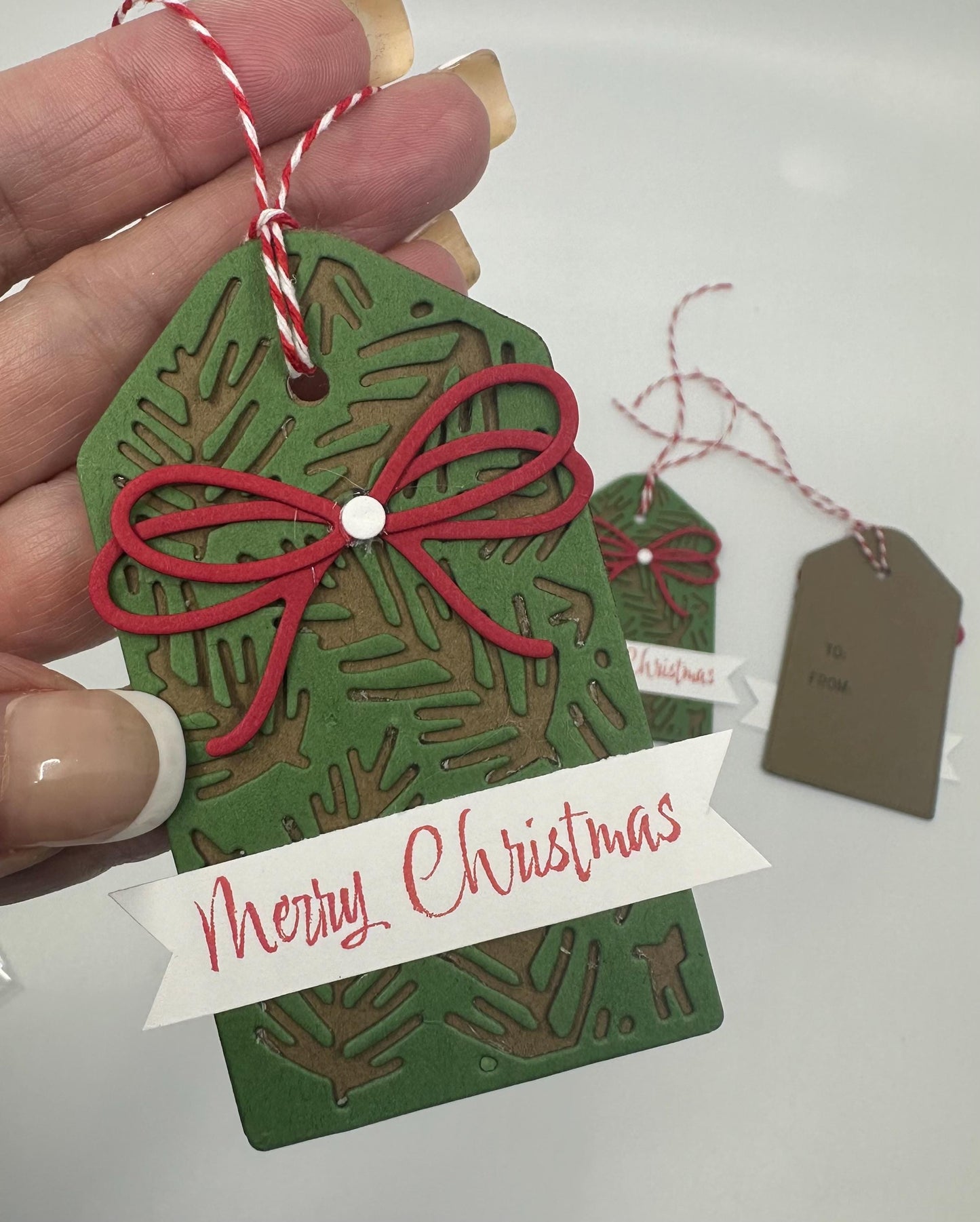 Christmas Bow on Douglas Fir Gift Tags Holiday - pack of 3